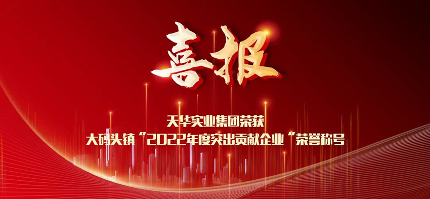 喜报！DB真人实业集团荣获大码头镇“2022年度突出贡献企业”荣誉称号